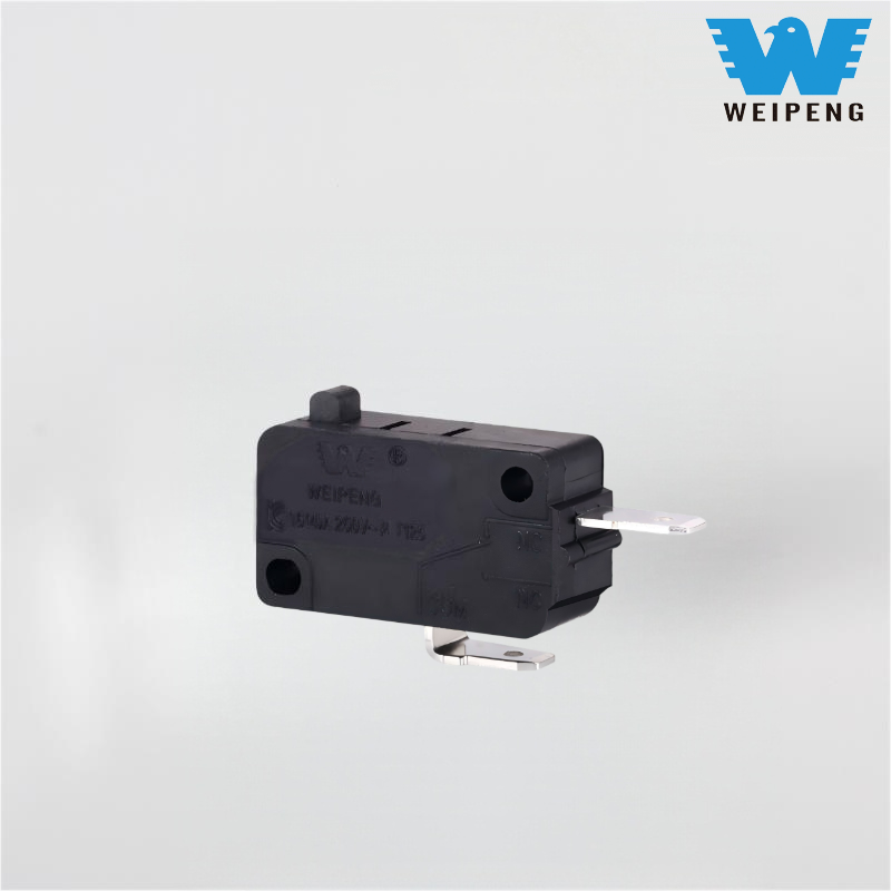 16A 250vac 250VAC ການຕັ້ງຄ່າການຕັ້ງຄ່າກໍານົດ 2-PIN ປົກກະຕິປິດສະຫຼັບ