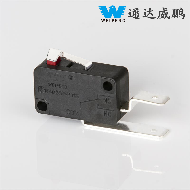 16A Iron Pin/Copper Pin Micro Switch ອຸປະກອນເສີມອຸປະກອນເຄື່ອງໃຊ້ໃນເຮືອນ