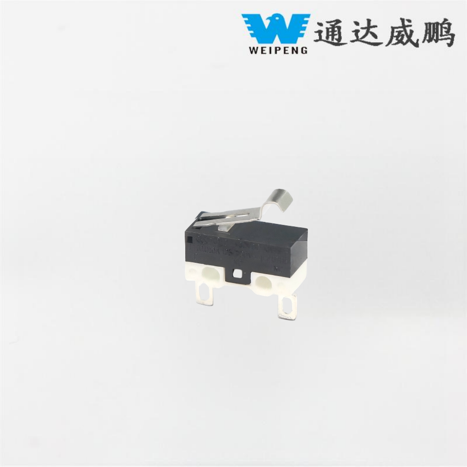 ຜູ້ຜະລິດ 1A/3A ສະໜອງ 2-Pin Smart Door Lock Micro Switch