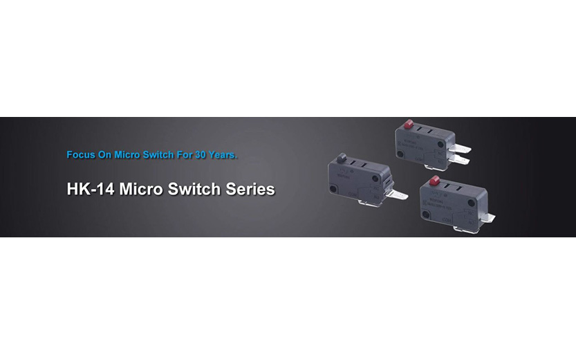 ປະເທດທີ່ໃຊ້ Micro Switches ຫຼາຍທີ່ສຸດ