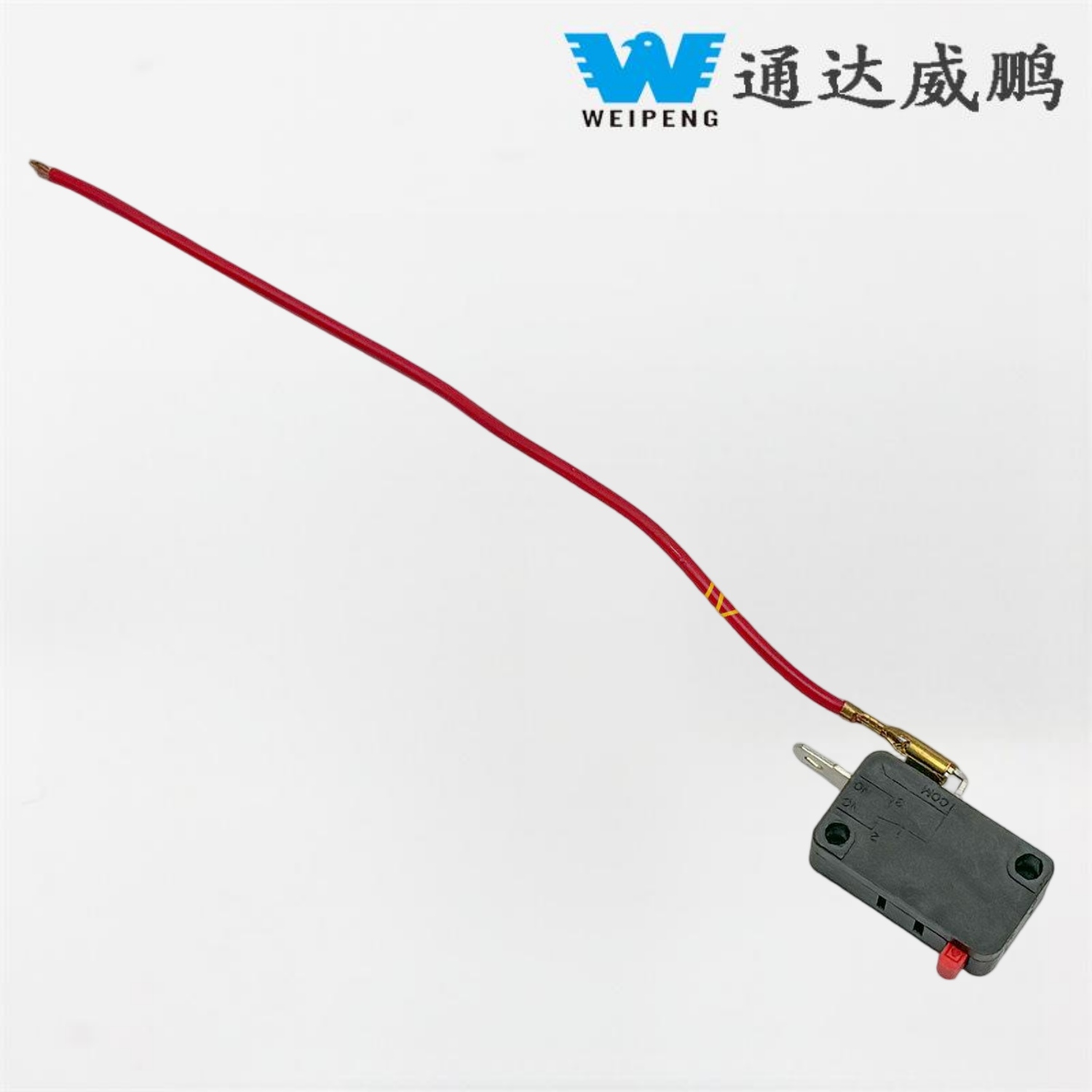 ເຄື່ອງລ້າງລົດທີ່ມີເຄື່ອງຫຼີ້ນ Micro ທີ່ມີສາຍ